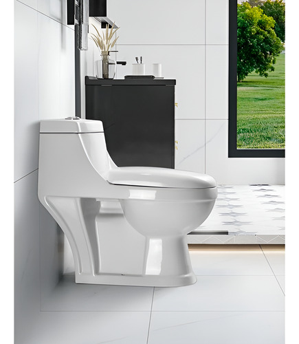 Wc One Piece Joytek Sanitario Descarga A Piso 30 Cm