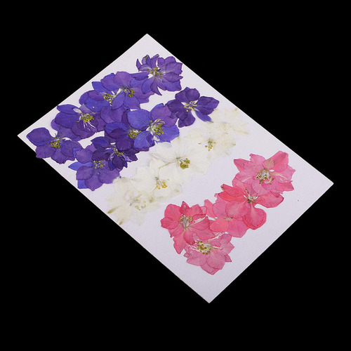 L 2 X 20 Pieces Natural Dried Flowers Delphinium Decoration