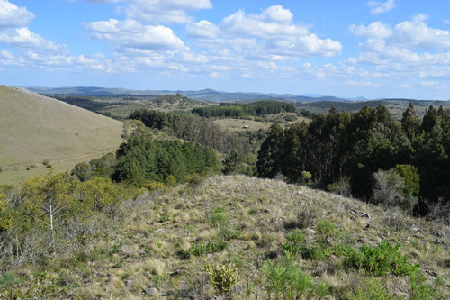Imagen 2 de 25 de Venta Chacra Pueblo Eden Maldonado Ruta 60