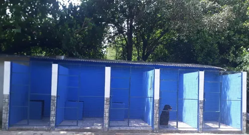 Adiestramiento Canino Y Pensionados