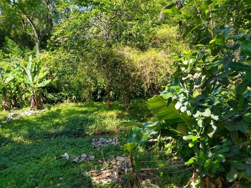 Imagem 17 de 21 de Chácara Venda Sao Sebastiao - Sp - Jaragua - 3822