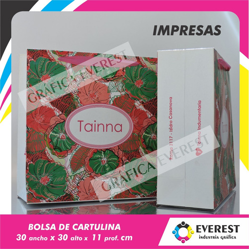 Imagen 2 de 7 de Bolsas De Cartulina 30x30x11 X 125u Impresas Offset 1 Color