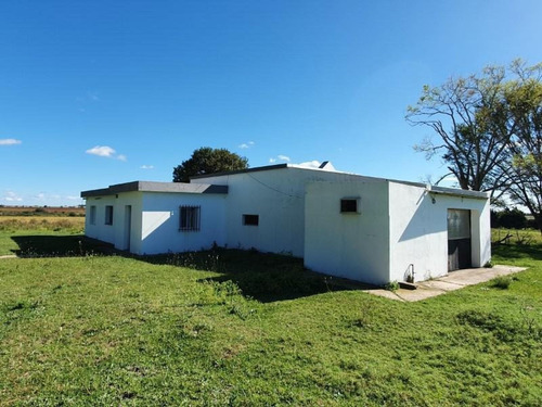 Imagen 7 de 30 de Molino Doll, Campo De 9 Hectáreas Con Casa, Sobre Ruta Y Con Costa De Arroyo