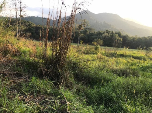 Imagem 6 de 29 de Fazenda À Venda, 3509000 M² Por R$ 2.000.000 - Centro - Pariquera-açu/sp - Fa0216