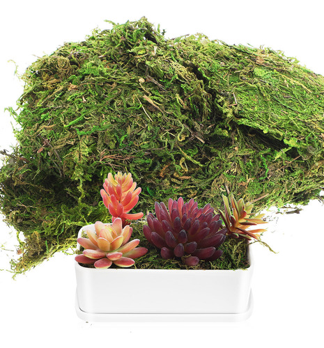 Plantas Artificiales De Interior, Musgo Teñido De Verde, Mus