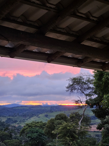 Chácara Em Minas Gerais C/ 3.600m2 E Ecologicamente Correta.