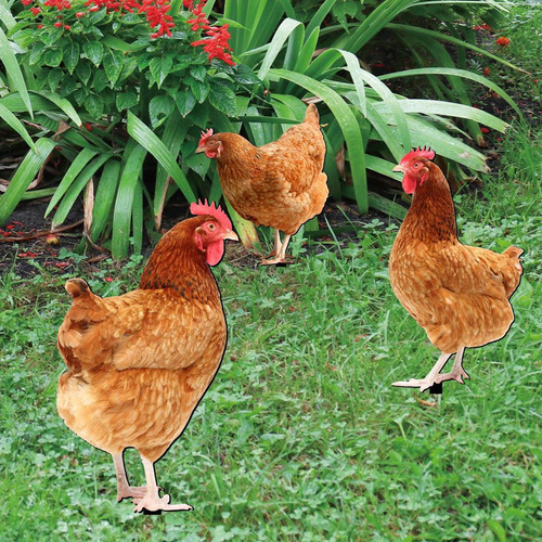 Estatua Realista De Gallina Y Gallina Con Forma De Gallina P