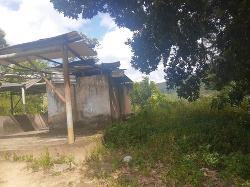 Imagem 1 de 9 de Sítio / Chácara Para Venda Em Murici, Zona Rural - In - 005_1-1697775