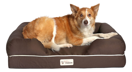 Petfusion Ultimate Pet Bed & Salón En Premium Edition Con .