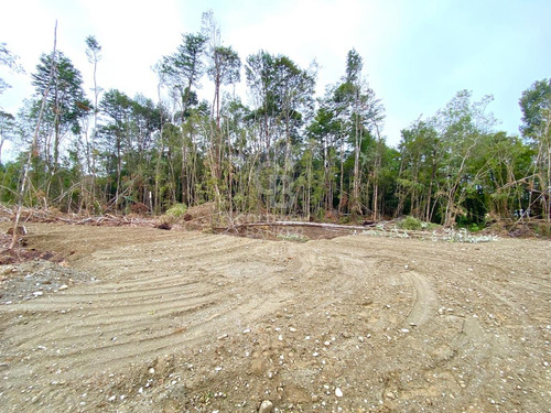 Entorno Tranquilo Y Seguro I Condominio Foresta