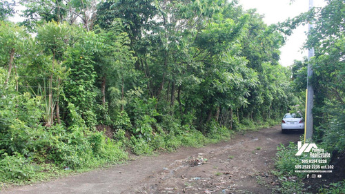 Imagen 4 de 11 de Vendo Finca En Remate En Masaya