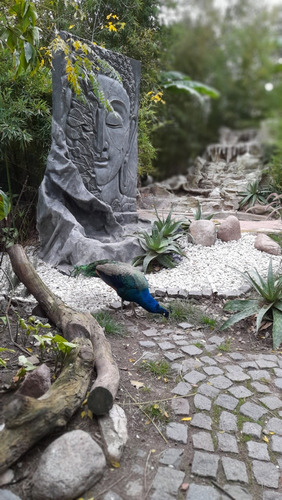 Parque Fotográfico Las Cascadas.