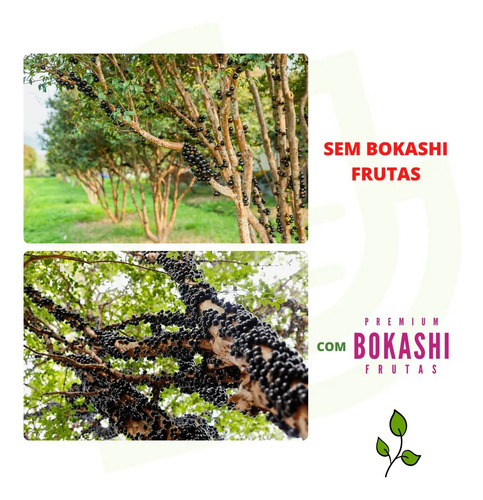 Adubo Npk Frutíferas Força Total Com Bokashi Frutas/raiz