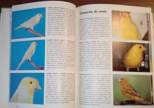 Libro: Canarios, Todas Las Razas Y Variedades