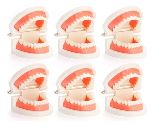 Modelo De Dientes Dentales, Modelo De Demostración Dental Pa