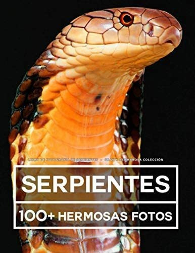 Libro: Libro De Fotografía Serpientes Gran Y Asombrosa 100 Y