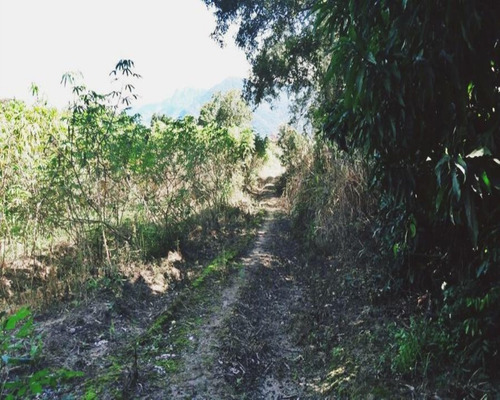 Imagem 17 de 18 de Terreno Em Santa Cândida - 200 - 34209886