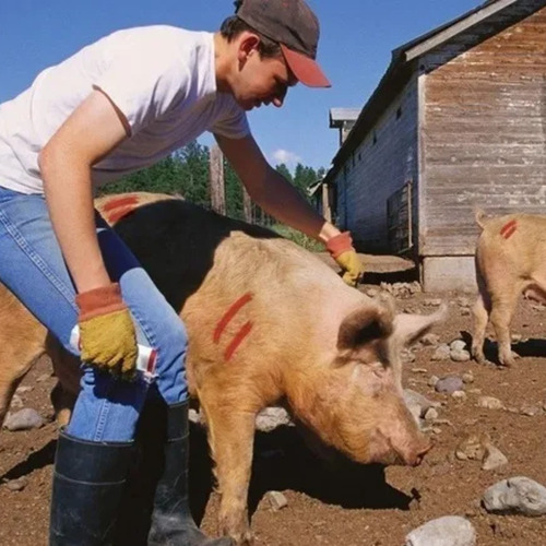 Tinta Marcadora De Animais Azul Em Bastão Hoppner