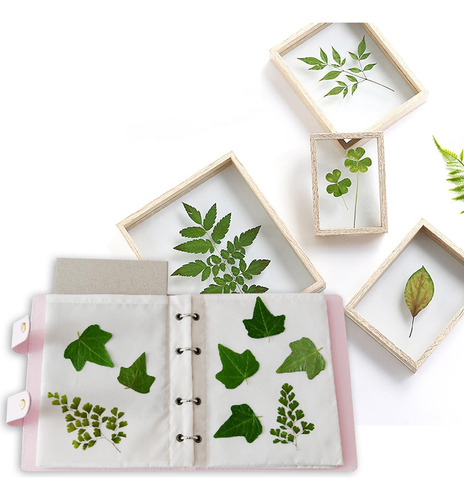 Kit De Prensa De Libros De De Flores Para 27cmx32cm Rosa