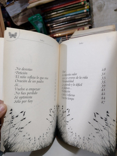 Hermosas Palabras Y Pensamientos Pablo Sanz Rp24 (Usado)