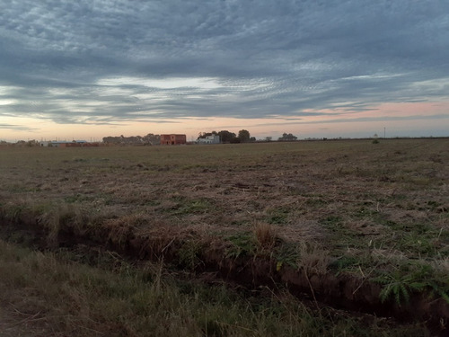 5 Terrenos En Urbanización San Carlos Norte Junín- Buenos Aires