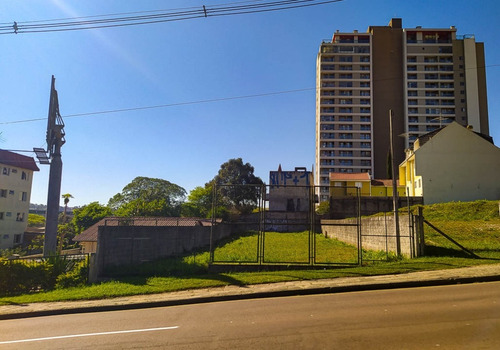 Imagem 3 de 9 de Terreno Para Alugar - 00823.004