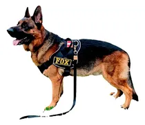 Comprar Arnes K9 Breeder Pastor Aleman