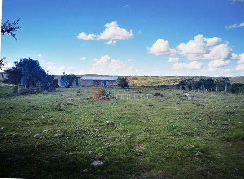 Campo Ganadero En Venta En Maldonado, A 60 Km De Punta Del Este- Ref: 26296