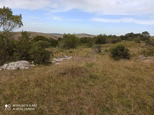 Chacra En Zona De Las Cañas, Buenas Vistas Con Tajamar Y Arroyos!