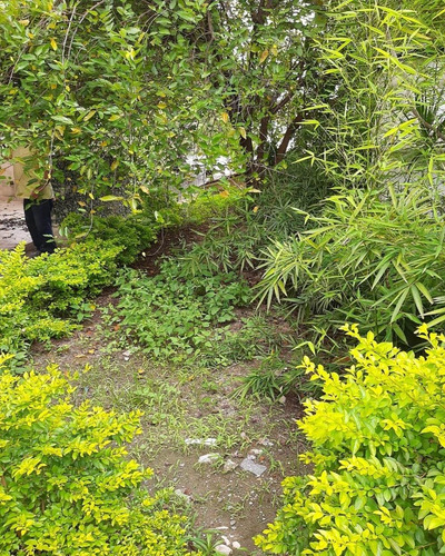 Imagem 25 de 27 de Locação Vila Pauliceia, 2 Casas De 1 Dormitório, Sala, Cozinha, Wc, Lavanderia, 1 Vaga, Quintal E 1 Galpão Grande - Ml66 - 69391179