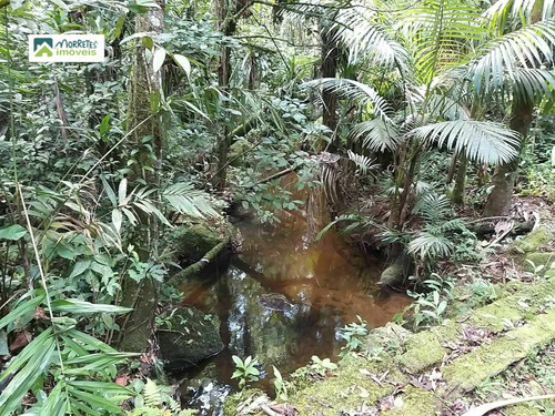 Imagem 5 de 24 de Chácara À Venda No Bairro América De Cima - Morretes/pr - 269