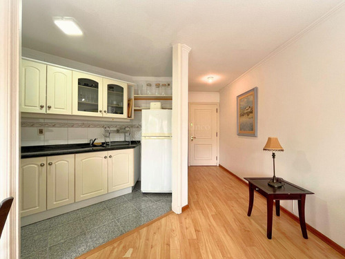 Alquiler Apartamento Amoblado 1 Dormitorio Pocitos - Ref 737