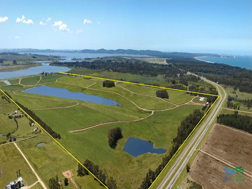 Venta De Terreno Con Gran Superficie En Laguna De Los Cisnes Sobre Ruta Interbalnearia