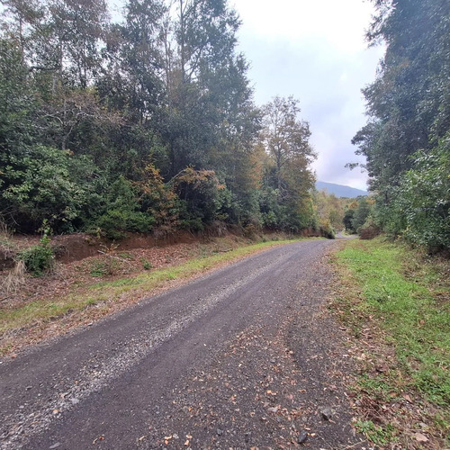 Hermosa Parcela En Pucón, Con Acceso A Termas, Sector Huife
