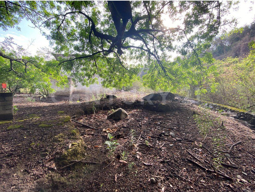 Terreno En Venta, Tlacotepec, Zacualpan De Amilpas, Morelos