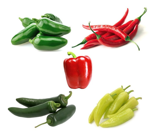 Combo Semillas Pimiento - 5 Variedades - 75 Semillas