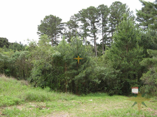 Imagem 1 de 3 de Terreno - 283