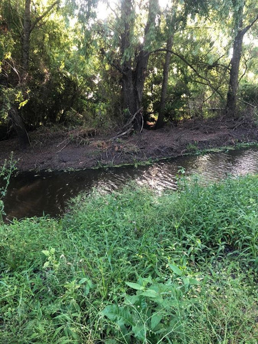 Imagen 9 de 10 de Campo - Gualeguaychu