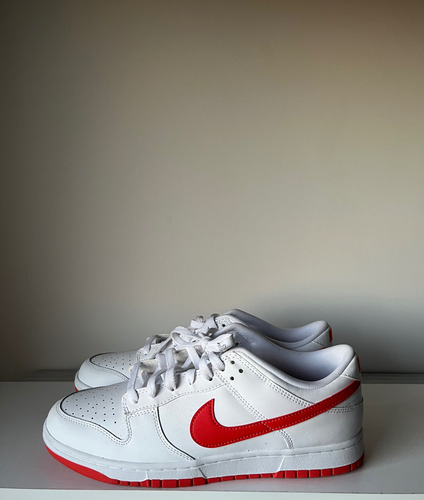 Zapatillas Nike Dunk Low (Usado)