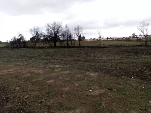 Imagen 13 de 13 de Agrícola En Venta En Chillán