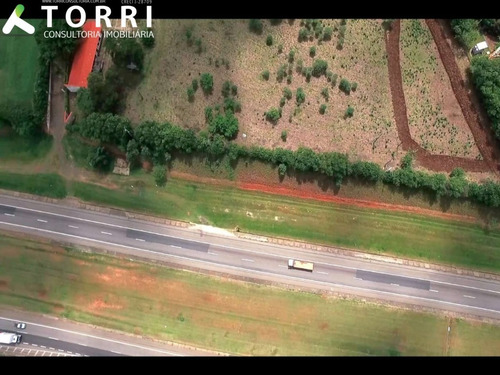 Imagem 7 de 7 de Sitio Na Rodovia Castelo Branco - St00077 - 68238939
