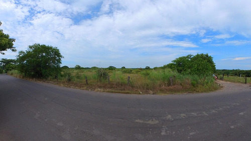 Terreno En Venta En Manlio Fabio Altamirano