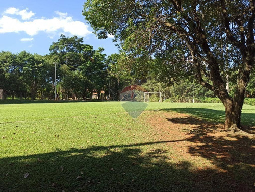 Imagem 10 de 11 de Vende Terreno De Chácara Nova Odessa - Te0244