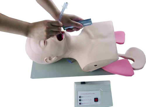 Simulador Intubación Endotraqueal C/indicadores Electrónicos