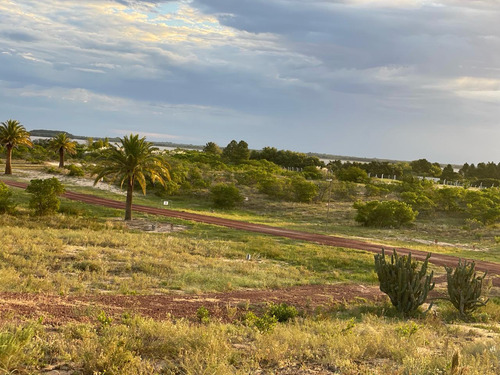 Terreno Venta Casa Chic Colonia Uruguay