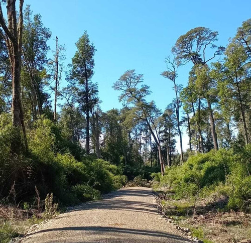 Rupanco 5.000 M2 // Exclusivo Proyecto (99135)