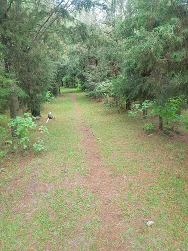 Imagen 11 de 14 de Venta De Rancho En Jilotepec De Molina Enríquez