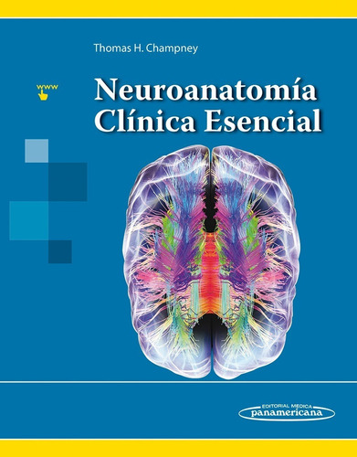 Neuroanatomía Clínica Esencial-champney / Original Y !!