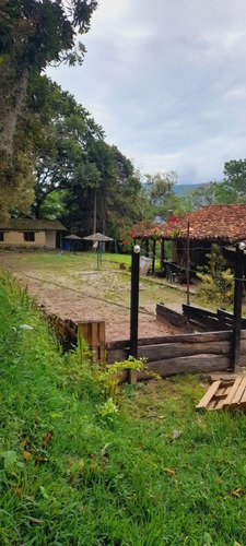 Imagen 15 de 18 de Granja En Peribeca 1.4 Ha