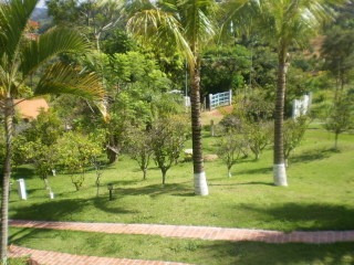 Oportunidade Casa Campo - 1262